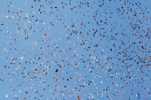 Confetti against a blue sky, by Sherrie Thai