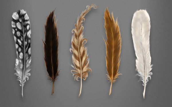 Harry Potter, magical quills; image: www.pottermore.com