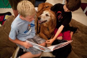 a kid reading to a dog
